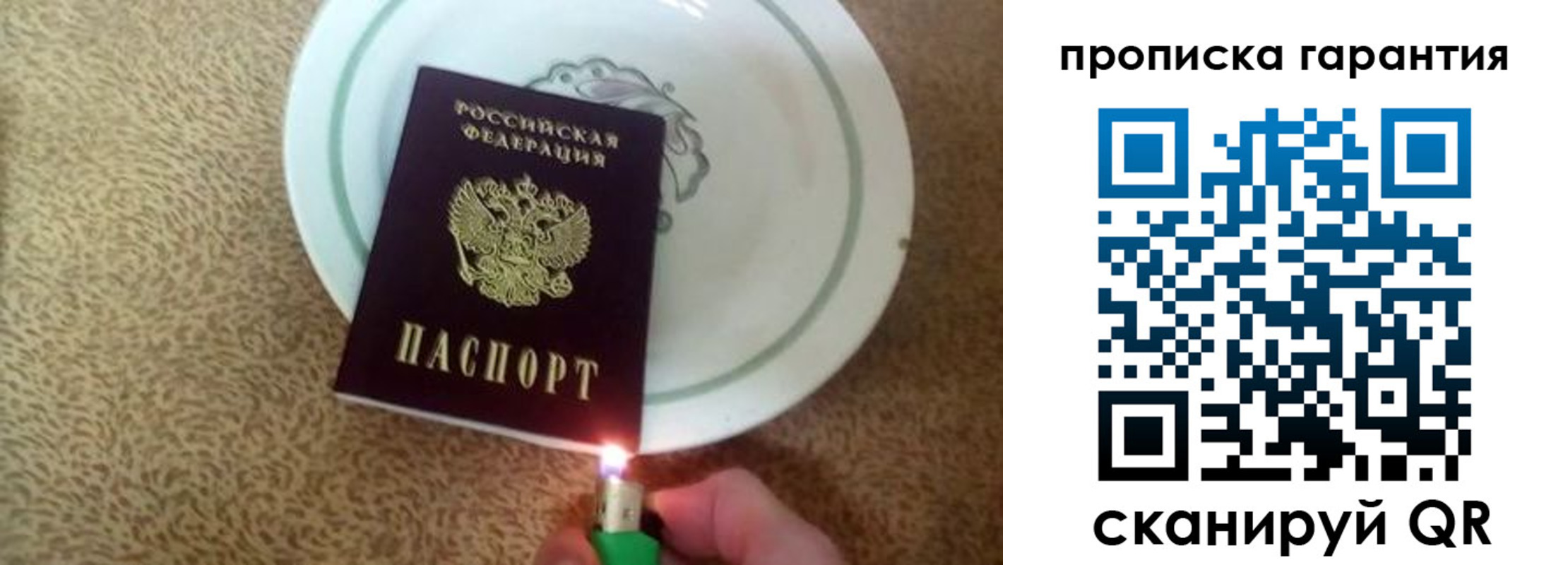 прописка гарантия в Краснозаводске